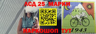 крисы Можга