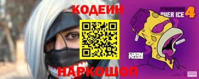 крисы Можга