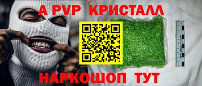 крисы Можга