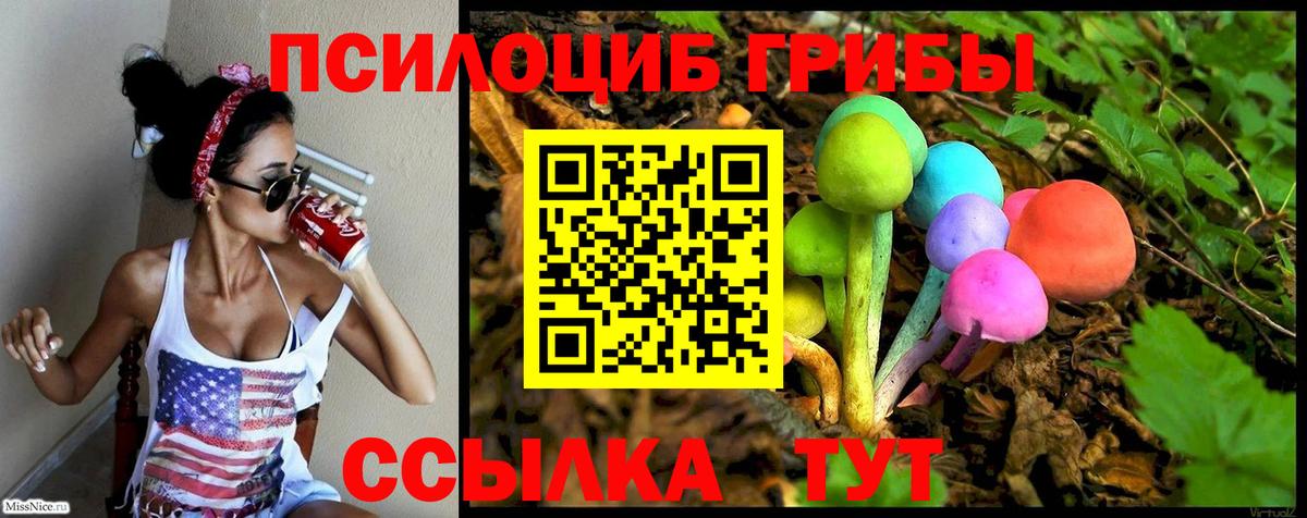 наркотики  Псилоцибиновые грибы MAGIC MUSHROOMS  Вход с VPN  Углич 