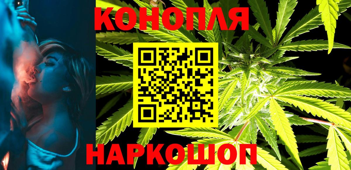 Канабис сатива  Канабис планчик  Углич  Вход с VPN 