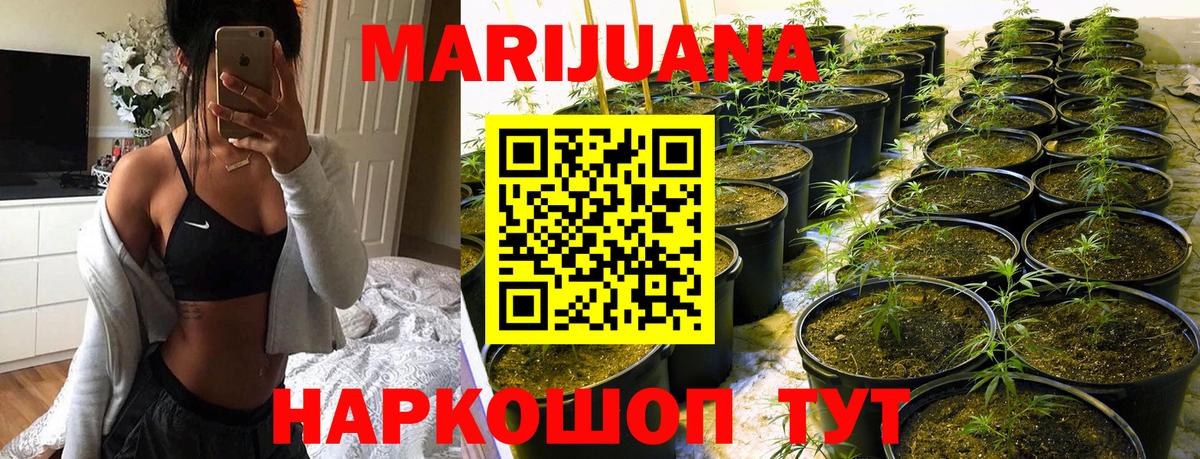 Шишки марихуана Ganja Углич